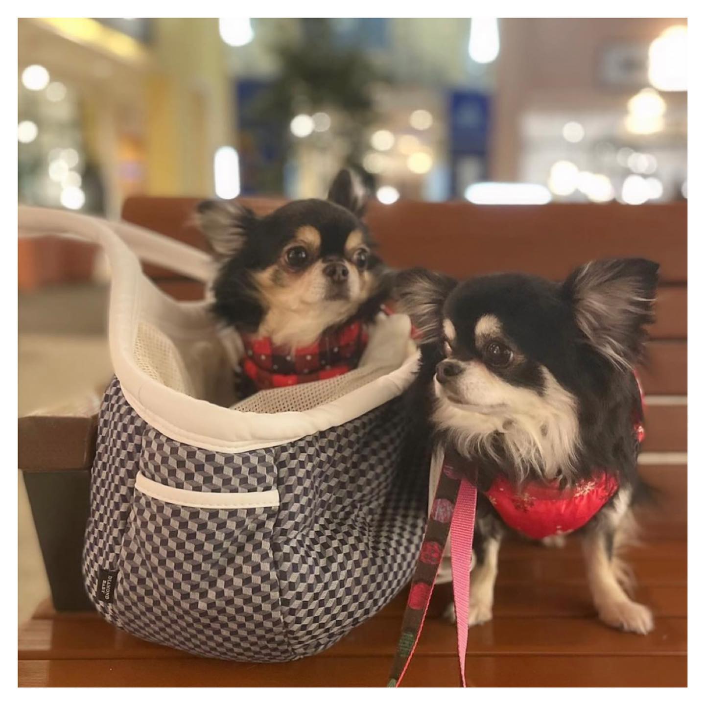 design f】ドックキャリー用 マシュマロバッグ | monsterdog.com.br