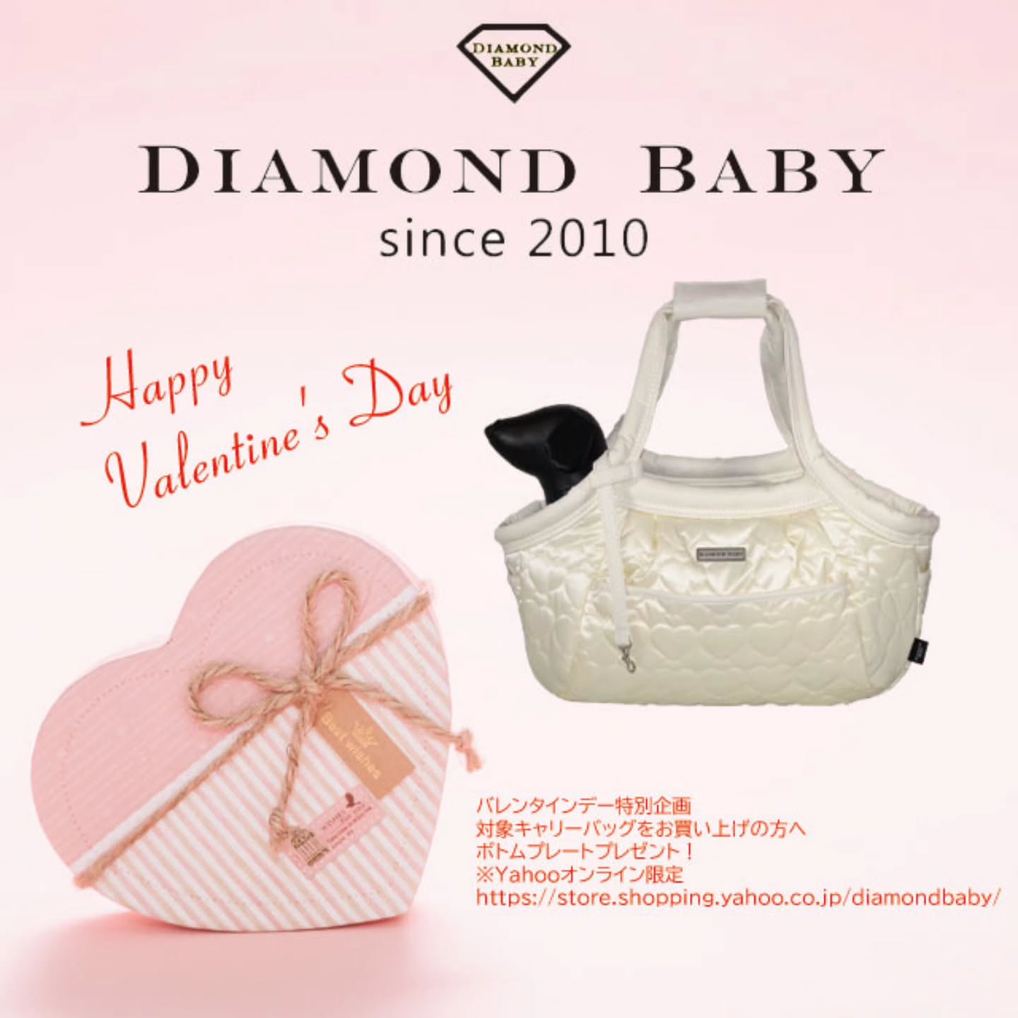 愛犬との暮らしを大切にしたい|Diamond Baby