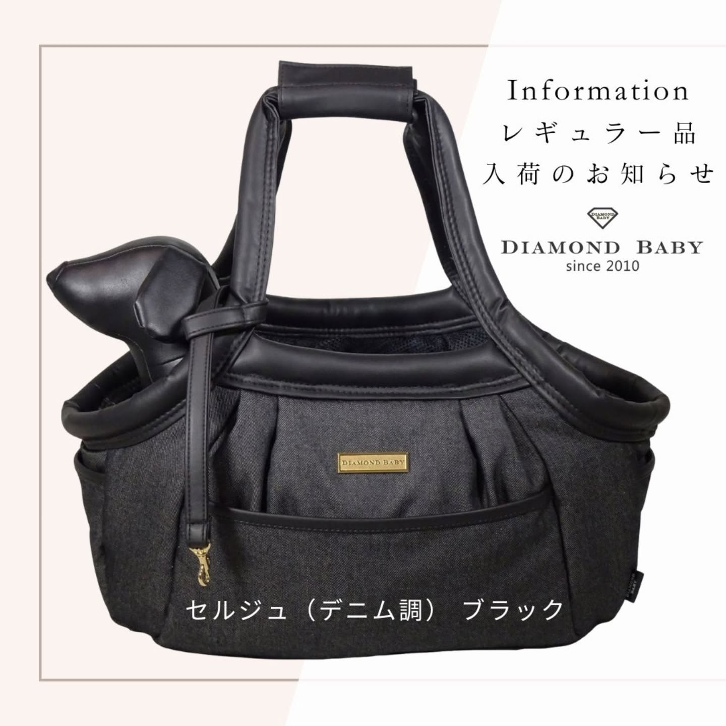 愛犬との暮らしを大切にしたい|Diamond Baby