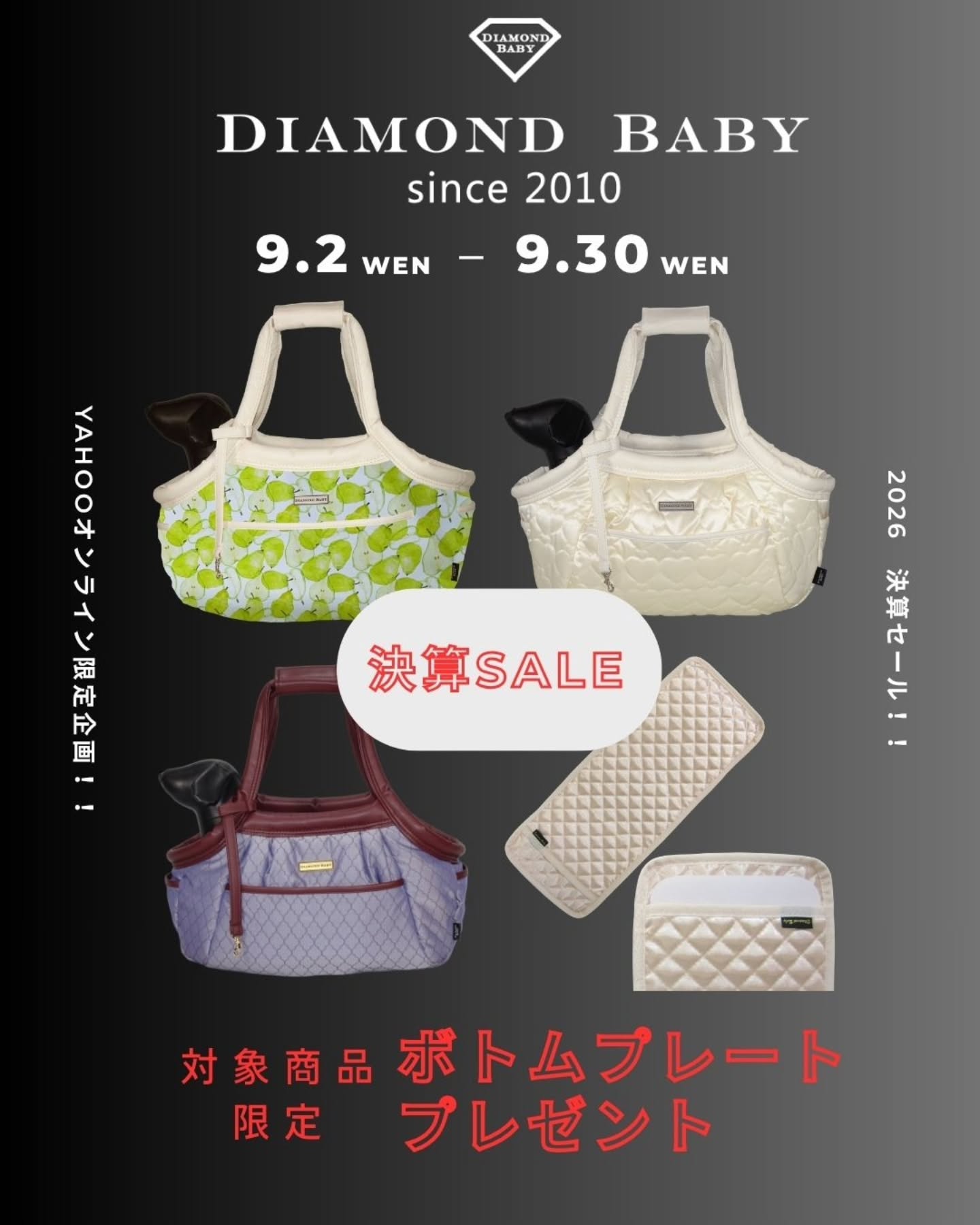 愛犬との暮らしを大切にしたい|Diamond Baby